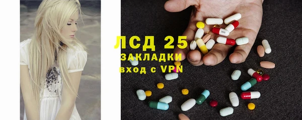 гидра Алексин