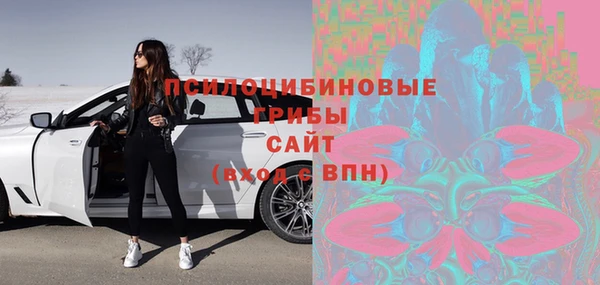 спиды Алексеевка