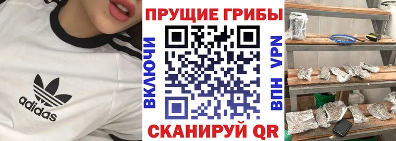 Галлюциногенные грибы Magic Shrooms  Миньяр 